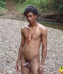 Alfredo 5bbe5a72a9052.jpg