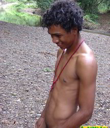 Alfredo 5bbe5a79c1ae0.jpg