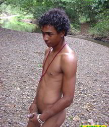 Alfredo 5bbe5a7b517ae.jpg