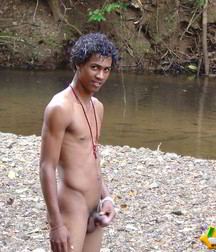 Alfredo 5bbe5a82a11c7.jpg