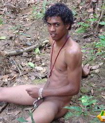 Alfredo 5bbe5a843acd5.jpg