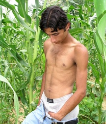 Angelo 5bbe92545cff2.jpg