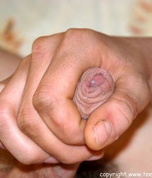 Good Enough To Eat! 026 5ce5a7302a418.jpg