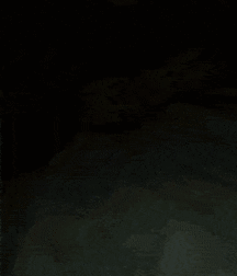 amazing boy from reddit 5aa1928329fb9.gif