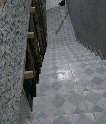 garotos basil sc 59a18c44c1fad.jpg