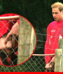 brazil e mundo 2 5dd89d85c5fa1.jpg