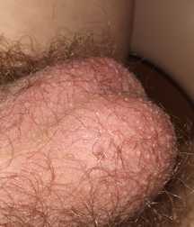 brazil e mundo 2 5dd89d8d8688a.jpg