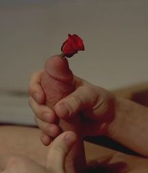 Chance 59a3215133d31.jpg