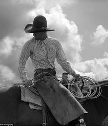 Saddle Up! 59e7976519050.jpg