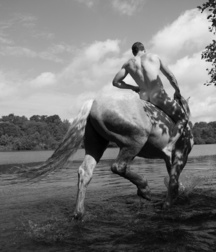 Saddle Up! 59e79767c6e29.jpg