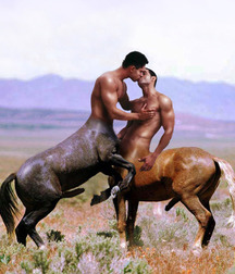 Saddle Up! 59e79782afe2f.jpg