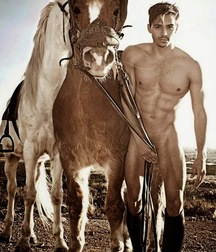Saddle Up! 59e797b2443de.jpg
