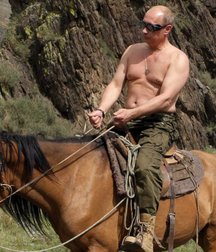 Saddle Up! 59e797ba05d90.jpg