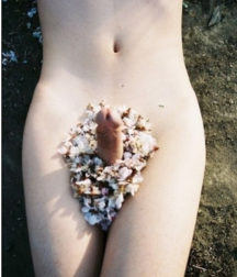 My photos galery 59e8316eed865.png
