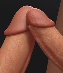 Twink-Mix 01 5ddf94540664f.jpg