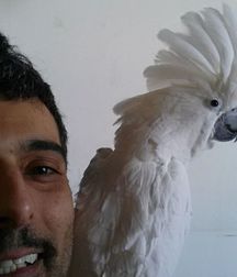 art 3 59c031c9e8f8a.jpg