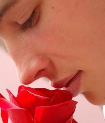 flowers  59c7b46aead92.jpg