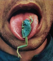 art 6 59c7c967d858f.jpg