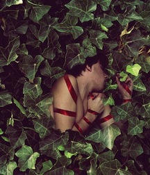 art 6 59c7c9b1dc0b4.jpg