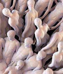 art male super 59cbab3b8191c.jpg