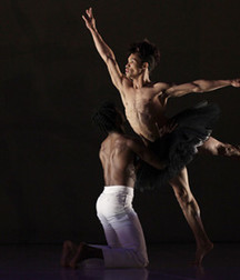 art 6 59ccc99e11298.jpg