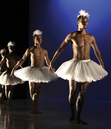 art 6 59ccc99fc1c5e.jpg