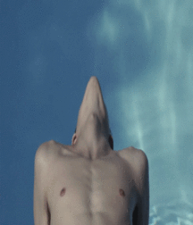 art 6 59ccc9b328e0d.gif