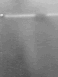 art 6 59ccc9c327f43.gif