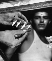 art 6 59cd138a47c25.jpg