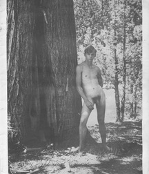 art 9 59cd64421f8f7.jpg