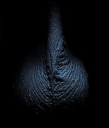 art 9 59cd68261dfb9.jpg