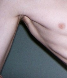 details 59d35936173ff.jpg
