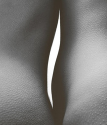 body art 59d390e262fd2.jpg