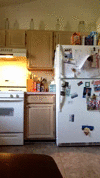 50 gif super 59d4baf647824.gif