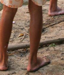 feets 59d91658ddf42.jpg