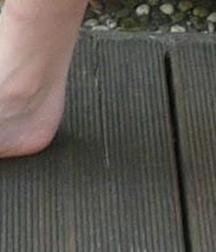 feets 59d916f95c7cf.jpg