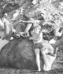 fun boys 59de6f679c9fc.jpg