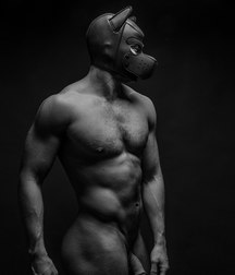 penis art 59e72dac65c3a.jpg