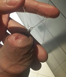 cock city 59eef52ac87b2.jpg