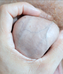 genitals 59ef391398d70.jpg