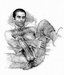 sex design