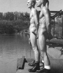 hard cocks 59fa402f24019.jpg