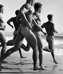 art homo 5a1c4a88b1d99.jpg