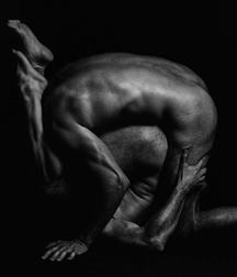 art homo 5a1c4a8a12150.jpg