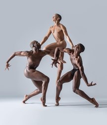Homoart 5a26740eefdce.jpg