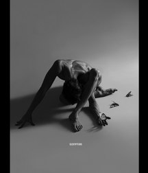 Homoart 5a26741abe869.jpg