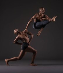 Homoart 5a26742e61492.jpg