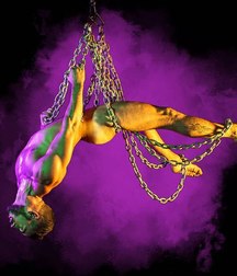 Homoart 5a26748fb9100.jpg