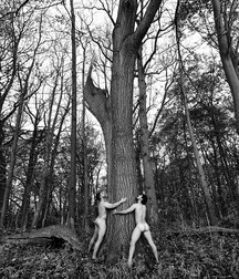 Homoart 5a2674a807a28.jpg
