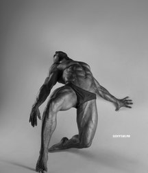 Homoart 5a2674b43764a.jpg